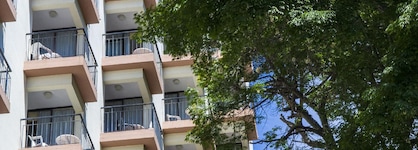 Dorisol Buganvilia Studio Hotel