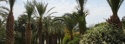 Ascos Coral Beach Hotel