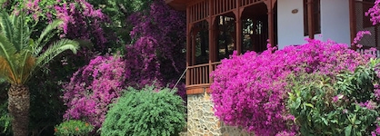 Club & Hotel Letoonia