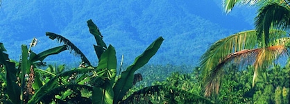 Hanging Gardens Of Bali