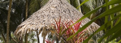 Bayview Beach Resort