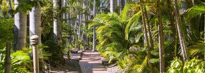 Oaks Sunshine Coast Oasis Resort