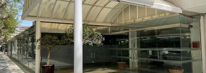 Best Michelangelo