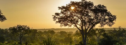 Lion Sands Tinga Lodge