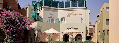 Turtle's Inn