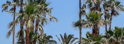 SOL Marina Beach Crete