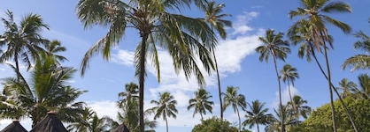 Tivoli Ecoresort Praia Do Forte