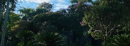Orquideas Palace