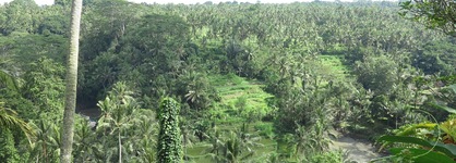 Taman Bebek Resort & Spa