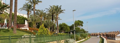 Paloma Perissia