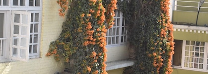 Festoon Hotel