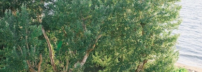 Hotel Tzaki