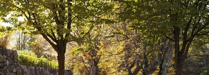Hesselby Slott