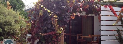 Forest Retreat Bed And Breakfast