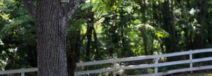 Inn At Monticello