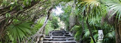Aluna Resort Tulum