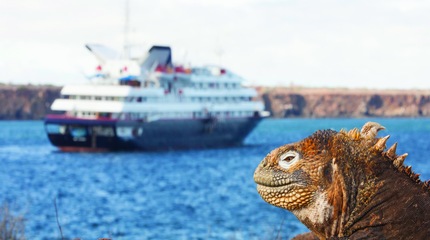 Foto Silver Galápagos