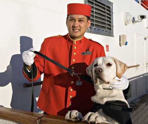 QM Servicio