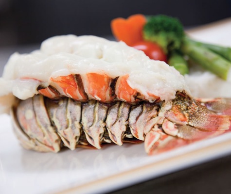 QM Gastronomía