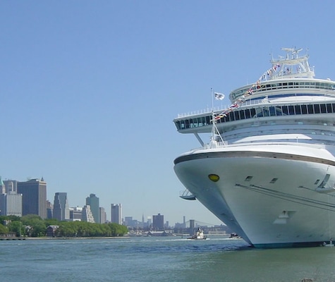Imágen Crown Princess 24