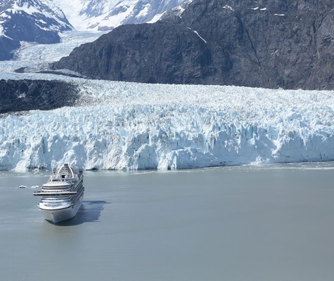 Imágen Crown Princess 14