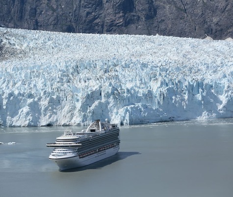 Imágen Crown Princess 15