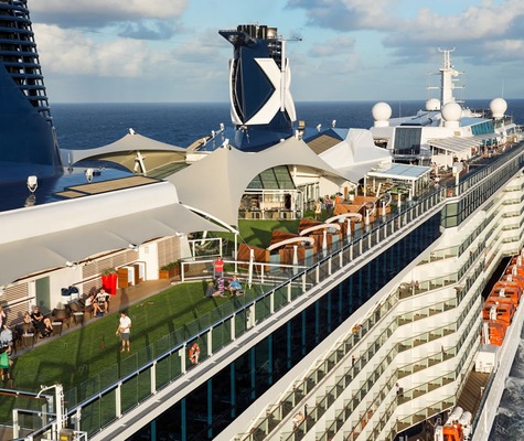 Celebrity Reflection