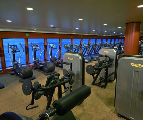 Imágen Norwegian Gem 26