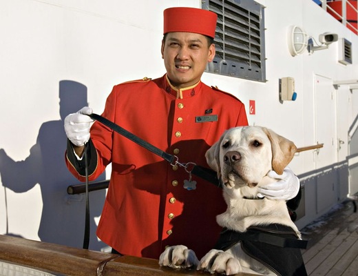 QM Servicio