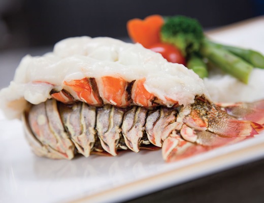 QM Gastronomía