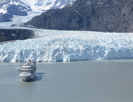 Imágen Crown Princess 14