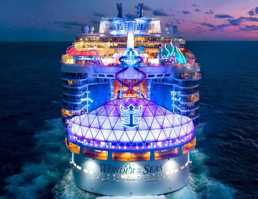 Imágen Wonder of the Seas 15
