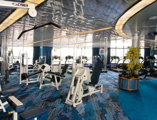 ms Oosterdam_gym
