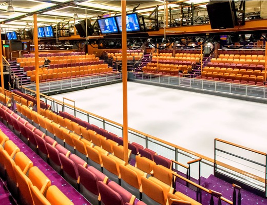 Pista de Hielo