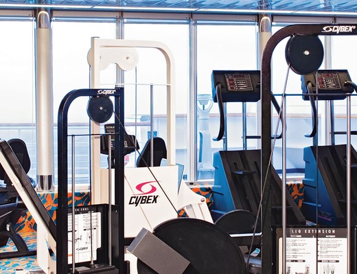 gimnasio_maasdam