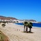 Ruleta Playa Andalucía - map