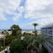 Hotel Palmasol Puerto Marina - map