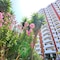 Clube Praia Da Rocha - map