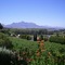 The Devon Valley Hotel - map