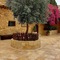 Hayat Zaman Hotel & Resort - map
