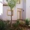 Villas Monte Javea - map