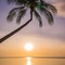 Samui Paradise Chaweng Beach Resort & Spa - map