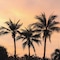 Sheraton Hua Hin Resort & Spa - map
