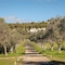 Vila Valverde Design & Country - map