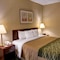 Comfort Inn College Park North - map