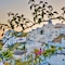 Armeni Village Rooms & Suites - map