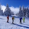 Chalet Hotel Du Bois - map