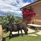 Hotel Glamping Borgo Di Campagna - map
