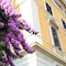 Roma Room Hotel - map