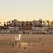Kimpton Shorebreak Huntington Beach Resort By Ihg - map